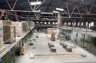 Gewerbeimmobilie mieten in 23843 Bad Oldesloe, Flexible Lagerfläche im Obergeschoss an der A1!