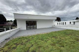 Penthouse mieten in 74074 Heilbronn, 5-Zi-Penthouse mit XXL Dachterrasse | HN-Ost Fuchs Areal | Hertner Holding