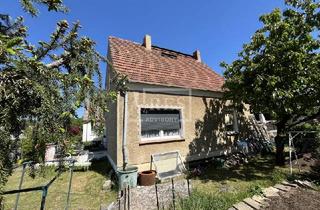 Einfamilienhaus kaufen in 03159 Döbern, Einfamilienhaus mit Terrasse und Garage - - PROVISIONSFREI - Jetzt zuschlagen!