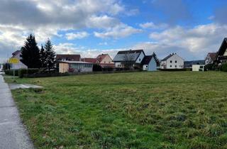 Immobilie kaufen in 95666 Pleußen, Baugrundstück und landwirtschaftliche Grünflächen mit guter Anbindung in Pleußen zu verkaufen