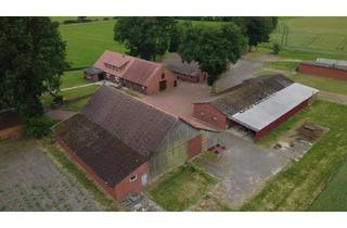 Haus kaufen in 49457 Drebber, Drebber / Cornau - Solider Resthof mit Nebengebäude in herrlicher ruhiger Lage