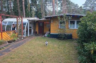 Haus kaufen in 29392 Wesendorf, Wesendorf - kleines Haus 52m2 am Badesee Wesendorf