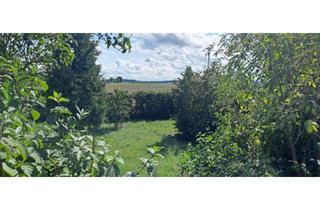 Einfamilienhaus kaufen in 93164 Laaber, Laaber - Einfamilienhaus zu verkaufen