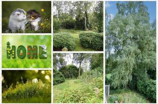 Einfamilienhaus kaufen in 21261 Welle, Welle - 6-Zimmer Familienidyll für Tierfreunde & Naturliebhaber