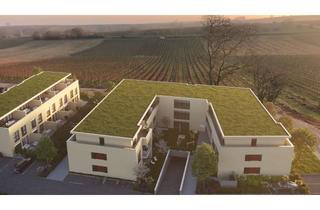 Wohnung kaufen in 76829 Landau, Exklusive Neubau-Eigentumswohnung zum Erstbezug, mitten in den Weinbergen