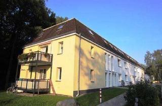 Wohnung mieten in Haidberg 13b, 21509 Glinde, Frisch saniert im 1. OG mit Balkon - Ihre neue Wohnung?