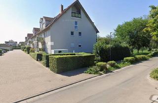 Wohnung mieten in Bahnhofstraße 39, 67378 Zeiskam, Stilvolle 2-Raum-Wohnung mit EBK und Stellplatz in Zeiskam