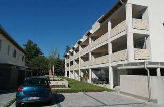 Wohnung mieten in Grünbacher Ring, 84427 Sankt Wolfgang, Neuwertige 4-Zimmer-EG-Wohnung mit Terrasse in Sankt Wolfgang
