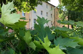 Wohnung mieten in Geschwitzstraße 10, 04571 Rötha, Jede Menge Platz - Großfamilien aufgepasst!