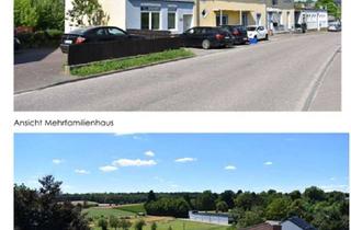 Lofts mieten in 74934 Reichartshausen, Loft-Wohnung mit Garten