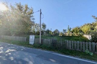 Grundstück zu kaufen in 01896 Lichtenberg, Wohnen in der schönen Region Pulsnitz Nähe Dresden