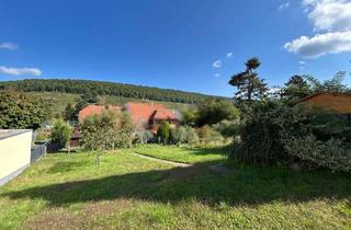 Haus kaufen in 63939 Wörth, Riesig: EFH mit viel Platz und mega schönem Grundstück!