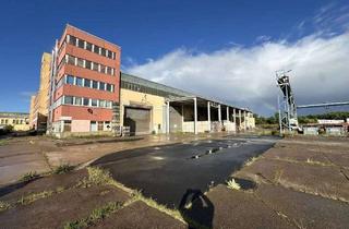 Gewerbeimmobilie kaufen in 99310 Arnstadt, Industrie-/Produktionshallen mit Büro- und Sozialtrakt