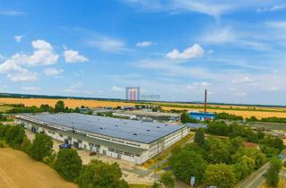 Gewerbeimmobilie mieten in 04774 Dahlen, Flexible Lager-/Logistikhalle (200 m²–10.000 m²) – zentrale Lage in Mitteldeutschland, HACCP-konform