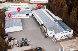 Gewerbeimmobilie mieten in 95145 Oberkotzau, Großzügige, gut erreichbare Lagerflächen - wärmegedämmte Kaltlagerhallen mit elektrischen Rolltoren