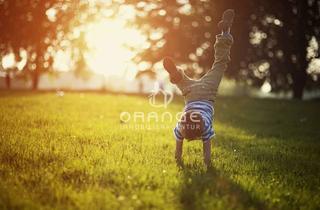 Grundstück zu kaufen in 06217 Geusa, *** Traumhaftes Grundstück * Bauträgerfrei * Grundstücksgröße variabel ***