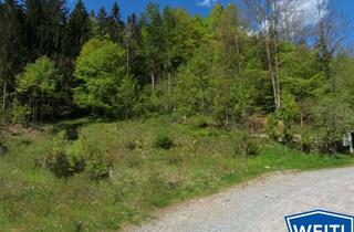 Grundstück zu kaufen in 83727 Schliersee, *** Schliersee-Neuhaus *** Naturgrundstück für Einfamilienhaus mit eigenem Wald ***