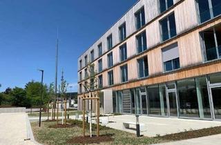 Büro zu mieten in 95119 Naila, Topmodernes Arbeitsumfeld in repräsentativen Räumlichkeiten im Frankenwald/Naila – Büroräume ab ca.