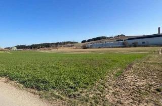 Gewerbeimmobilie kaufen in 95030 Unterkotzau, Gewerbe-/Industriegrundstück ideal für PV-Anlage - Flächennutzungsplan vorhanden - Nähe Hof/Saale -