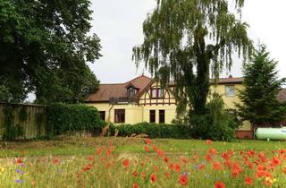 Wohnung mieten in 14793 Buckautal, Große Wohnung im Grünen – Ideal für Naturliebhaber, Tierfreunde und Kreative