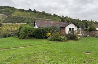 Wohnung mieten in 53474 Bad Neuenahr-Ahrweiler, Große EG-Wohnung mit 50m² Terrasse und gorßem Garten