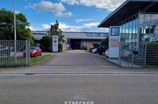 Gewerbeimmobilie kaufen in 76879 Bornheim, 8819m² großes Gewerbegrundstück mit 3 Mietern in verkehrsgünstiger Lage in Bornheim/Pfalz