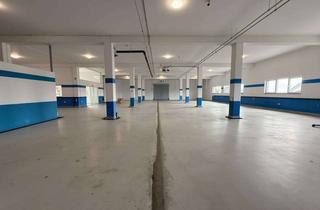 Büro zu mieten in 61194 Niddatal, Niddatal: Hallenfläche plus Büro – flexibel nutzbar, ab 300 m².
