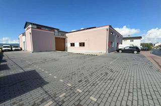 Büro zu mieten in 61194 Niddatal, Niddatal: Hallenfläche plus Büro – flexibel nutzbar, ab 300 m².