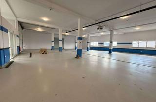 Büro zu mieten in 61194 Niddatal, Niddatal: Hallenfläche plus Büro – flexibel nutzbar, ab 300 m².
