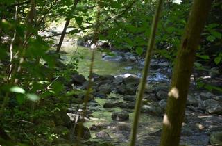 Grundstück zu kaufen in 83246 Unterwössen, GST mit Altbestand in naturnaher Lage mit Bergblick zur Neugestaltung