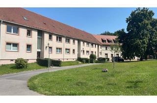 Wohnung mieten in Markt, 09306 Wechselburg, 3-Raumwohnung mit Blick auf die Basilika