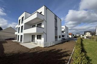 Wohnung mieten in Schulweg, 56191 Weitersburg, Neubau : EG 3 ZKB, mit Gäste WC, Abst. und Terrasse in Weitersburg