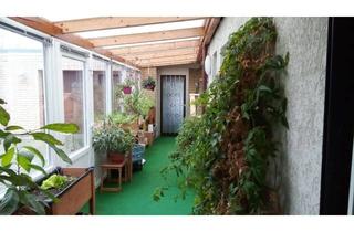 Wohnung mieten in 25782 Tellingstedt, Erstbezug in neu renoviertes Zimmer mit Terrasse, eigenes Duschbad