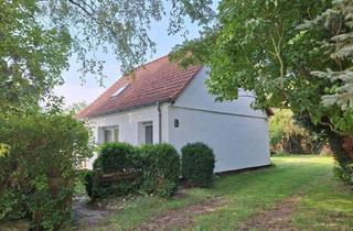 Einfamilienhaus kaufen in 18516 Süderholz, Absolute Alleinlage und Scheune - Einfamilienhaus zwischen Greifswald und Grimmen