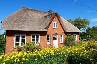 Haus kaufen in 25881 Westerhever, Top Reetdachhaus unterm Nordseedeich in Westerhever