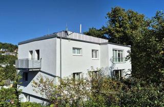 Penthouse kaufen in 65817 Eppstein, Penthouse-Charakter 4 Zi ETW mit 2 Balkonen und Dachterrasse