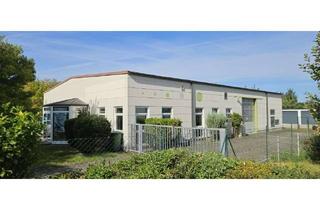 Gewerbeimmobilie kaufen in 91325 Adelsdorf, Hallen- und Bürofläche optional mit Reinraum