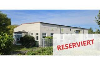 Gewerbeimmobilie kaufen in 91325 Adelsdorf, Hallen- und Bürofläche optional mit Reinraum