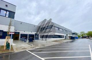 Büro zu mieten in 63225 Langen, KEINE PROVISION ✓ RAMPE + EBEN ✓ Lager (1.000 m²) & Büro (400 m²)