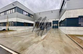 Büro zu mieten in 63225 Langen, KEINE PROVISION ✓ RAMPE + EBEN ✓ Lager (600 m²) & Büro (300 m²)