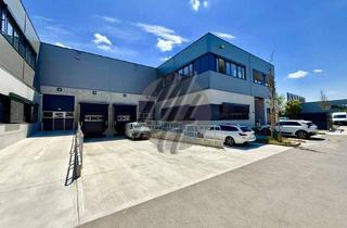 Büro zu mieten in 64546 Mörfelden-Walldorf, KEINE PROVISION ✓ RAMPE + EBEN ✓ Lager (600 m²) & Büro (300 m²)