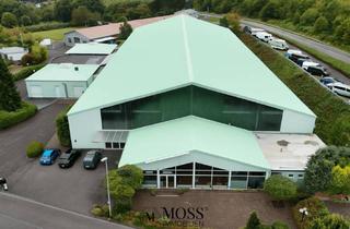 Gewerbeimmobilie kaufen in 56307 Dernbach, Solider Gewerbepark mit vielseitiger Nutzung und Entwicklugspotenzial