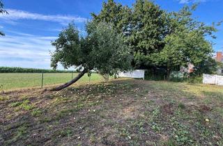 Grundstück zu kaufen in 85253 Erdweg, BAUGRUNDSTÜCK BEBAUBAR MIT EFHODER ZWEI DHHORTSRANDLAGE IN ERDWEG – EISENHOFEN!