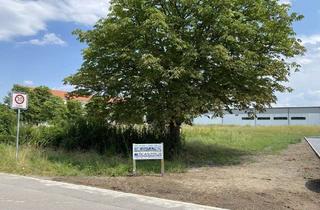 Grundstück zu kaufen in 04613 Lucka, Jetzt Baugrundstück in Lucka sichern – Traumhaus mit ScanHaus verwirklichen