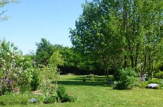 Grundstück zu kaufen in 38871 Stapelburg, Baugrundstück in Stapelburg