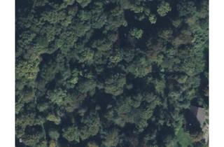 Grundstück zu kaufen in 83543 Rott, Attraktives Waldgrundstück, mit ggf. Zukunft Potenzial. Preis auf Anfrage.