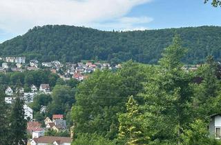 Grundstück zu kaufen in Schlossbergstrasse 10, 72458 Albstadt, Attraktives Baugrundstück in Bestlage von A-Ebingen