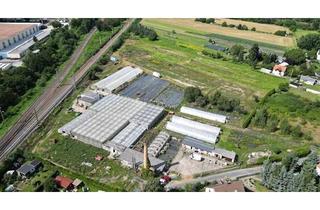 Immobilie kaufen in 01445 Radebeul, Landwirtschaftliche Fläche zu verkaufen