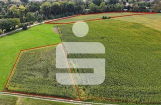 Gewerbeimmobilie kaufen in 84364 Bad Birnbach, Ackerflächen in Bad Birnbach