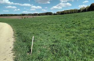 Gewerbeimmobilie kaufen in 91757 Treuchtlingen, Wiese zu verkaufen